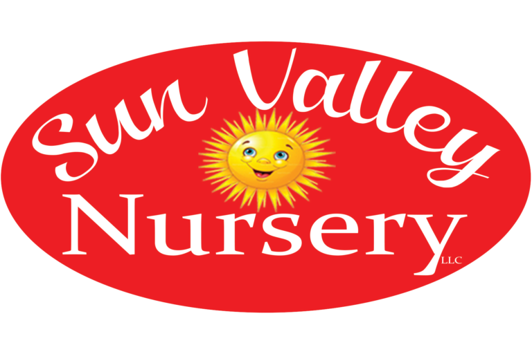 Sun Valley Nursery  - Scottsdale AZ