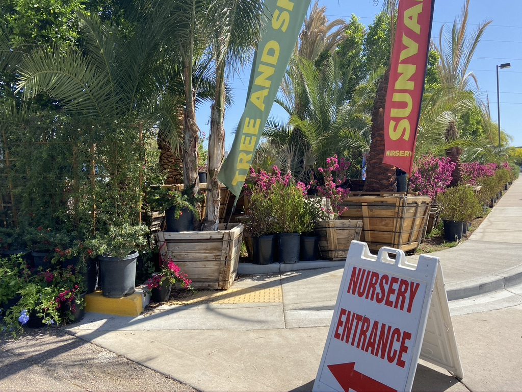 Sun Valley Nursery is a contractor supplier for Scottsdale Arizona. Our plants are locally grown and can be supplied to landscapers or other greenhouses